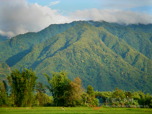 Photos by Nie Maohua