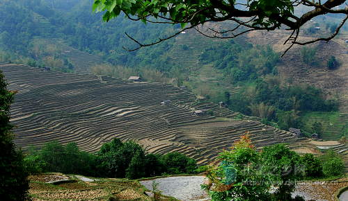 Photos by Nie Maohua