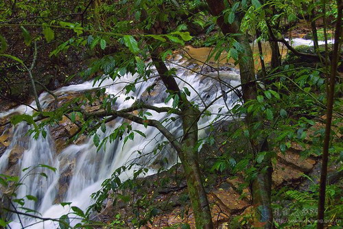 Photos by Sun Qinnan