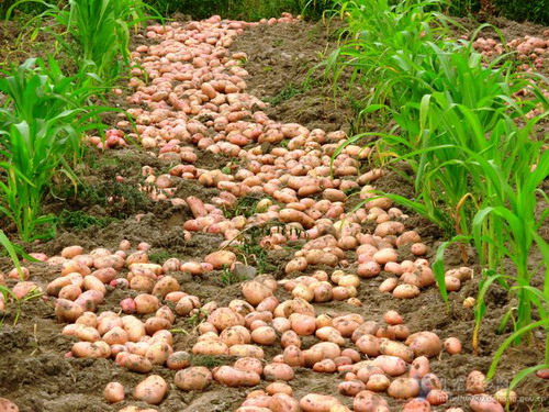 Photos by Gen Liuqiang