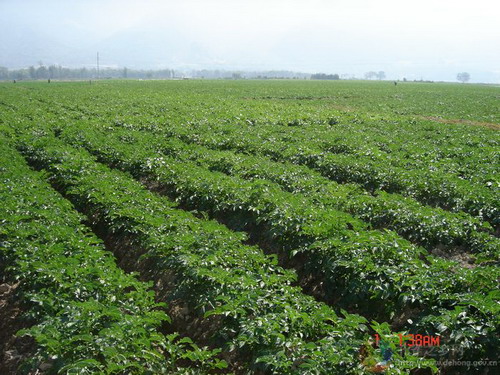 Photos by Gen Liuqiang