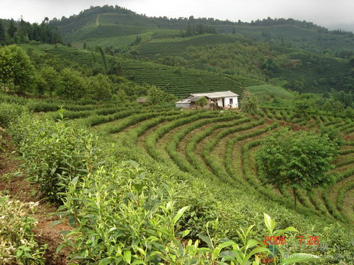 Photos by Gen Liuqiang