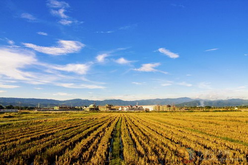 Photos by Zhang Wangao