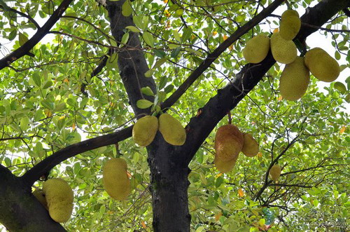 Photos by Duan Linxiang