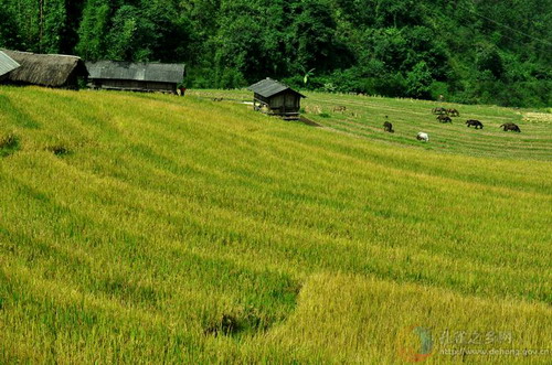 Photos by Duan Linxiang