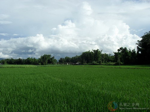 Photes by Lang Qingxin