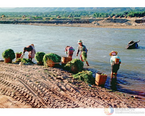 Photos by Zhang Lianfa