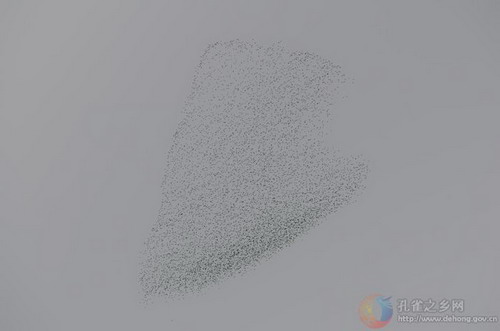 Photos by Si Zhiming