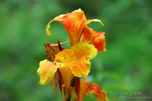 Photos by Si Zhiming