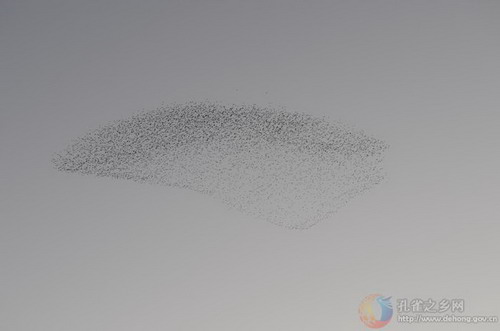 Photos by Si Zhiming