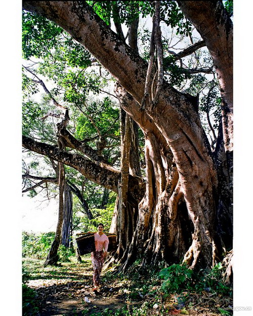 Photos by Shi Yundong