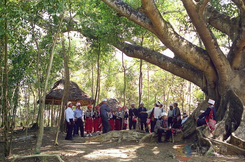 Photos by Jin Douming