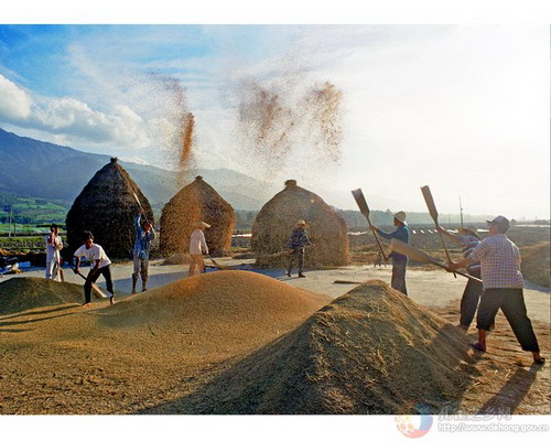 Photos by Mou Shuxian