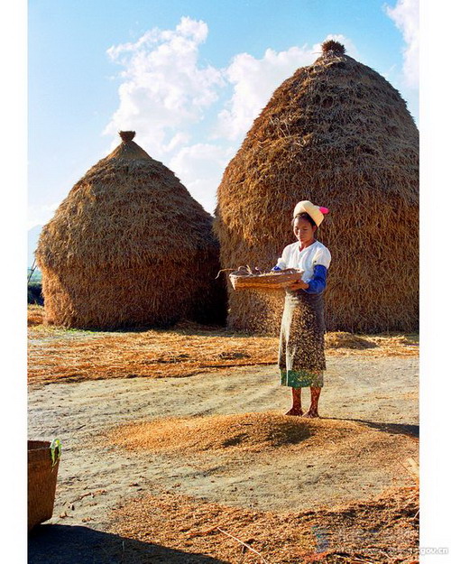 Photos by Mou Shuxian