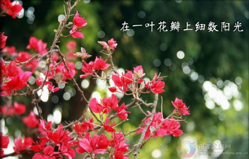 Photos by Li Xueping