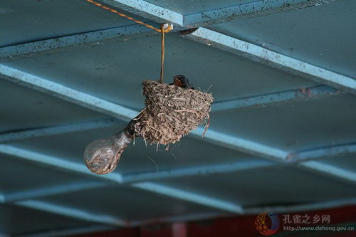 Photos by Li Xueping