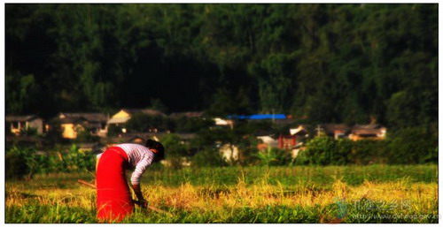 Photos by Guo Pingping