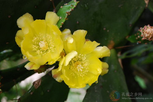 Photos by Hu Jialing