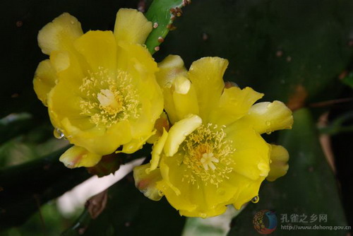 Photos by Hu Jialing