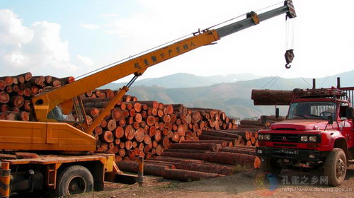 Photos by Jiang Xuchang