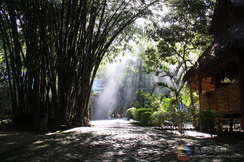 Photos by Liao Shitao