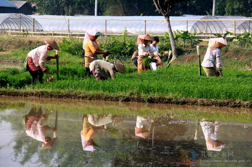 Photos by Liao Shitao