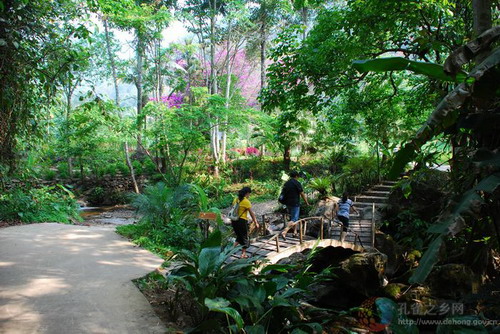 Photos by Wang Jianwen