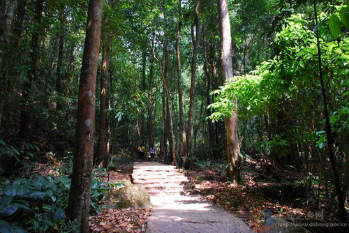 Photos by Wang Jianwen