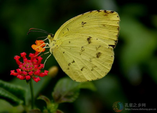 Photos by Yang Qingshun