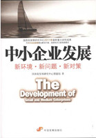 The Development of Small and Medium Enterprises: New Environment, New Problems and New Measures