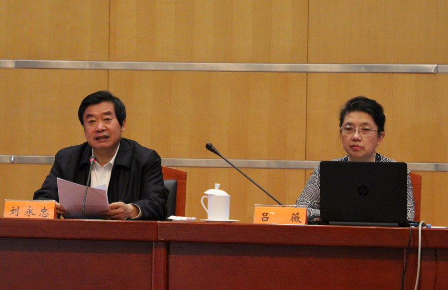 Lu Wei speaks about the economy and structural reform