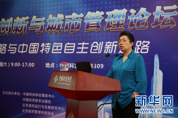 Lu Wei attends Technological Innovation and City Management Forum