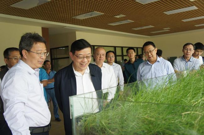 Li Wei leads survey group in Hainan province