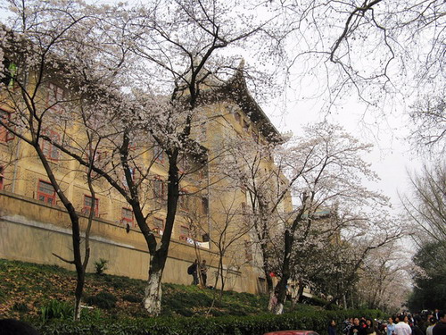Wuhan University