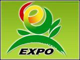 Categories of the International Horticultural Exposition