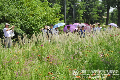 Beautiful sight of nature in Xi'an Expo Park