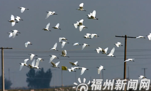 榕未来城市规划主打山水牌　3年内将再建7个公园