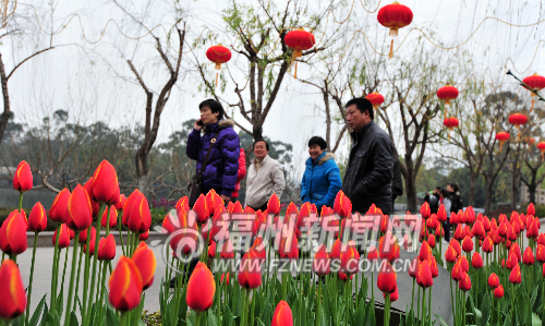 春暖花开榕城处处有美景　推出赏花指南供你参考