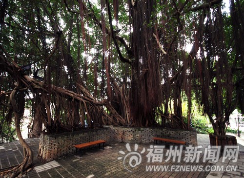 金牛山叠水广场改造　音乐喷泉水幕电影升级启用