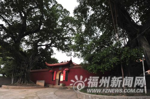 大梦山已种苗木四季可赏花 市民建议扩大景区范围