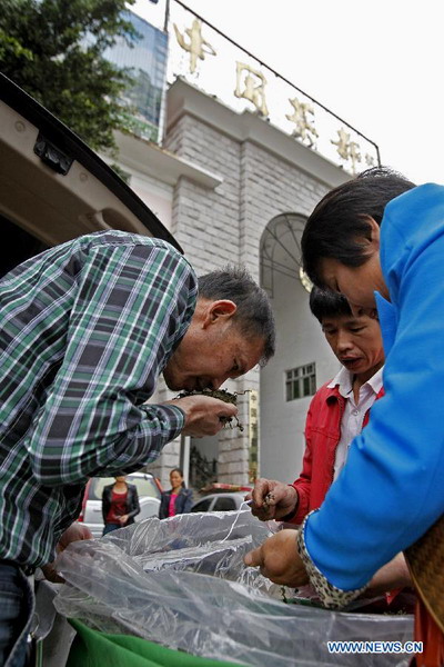 In pictures: tea trade at Anxi tea wholesale market in Fujian