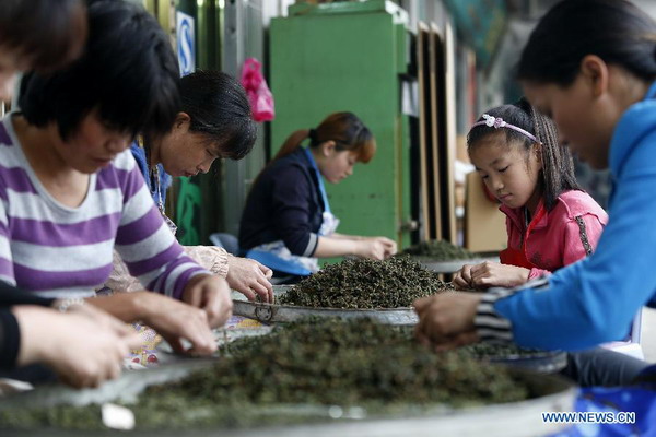 In pictures: tea trade at Anxi tea wholesale market in Fujian
