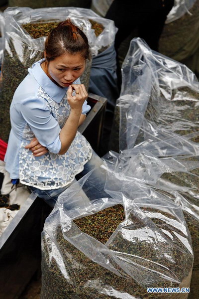 In pictures: tea trade at Anxi tea wholesale market in Fujian
