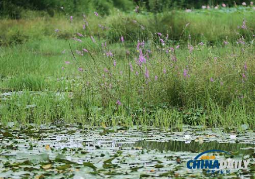 Changting focuses on economic and ecological construction