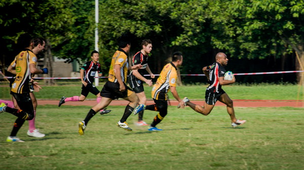 Tigers lose to Rams in home rugby union debut