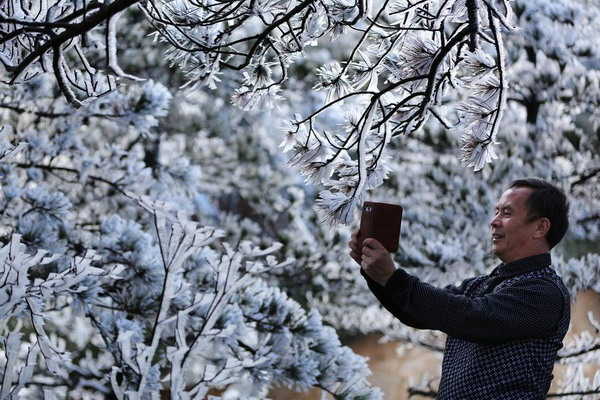 Rime scenery in Quanzhou