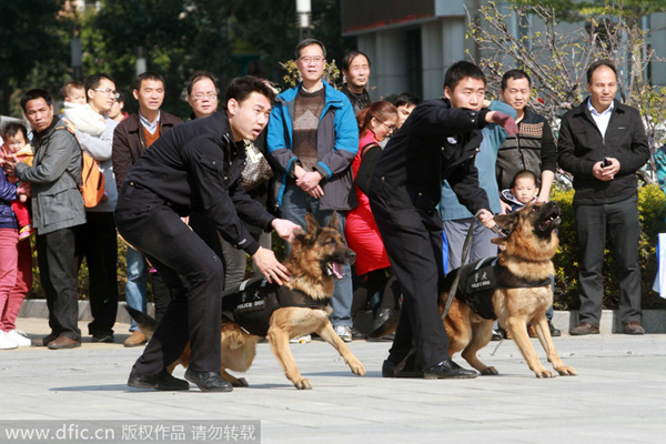 Police reveal role dogs play in fighting crime