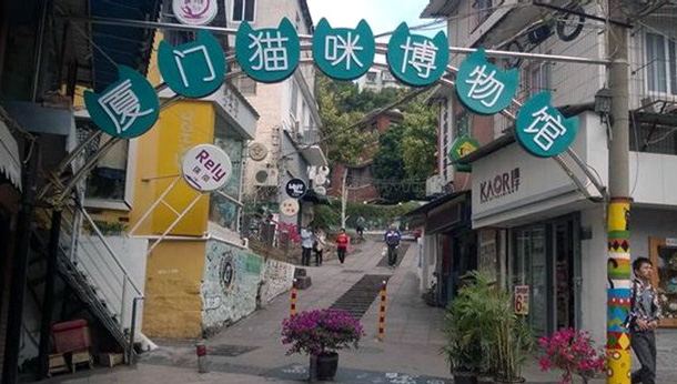 Cat Street debuts in Ding'aozai Road near Xiamen University