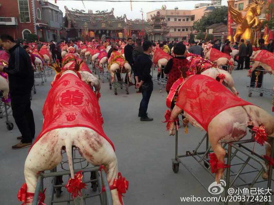 Village in E China goes on pig-killing spree