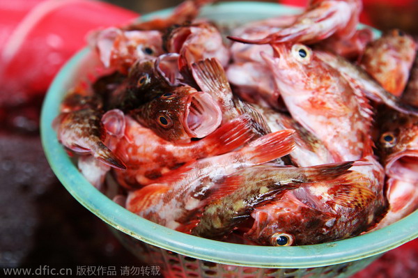 Xiamen's most famous seafood market